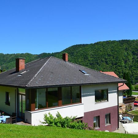 Apartamento Haus Donaublick Engelhartszell Exterior foto